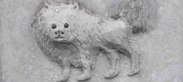 9/93TreuerHund/372-Foto Bestand Hund 2.jpg